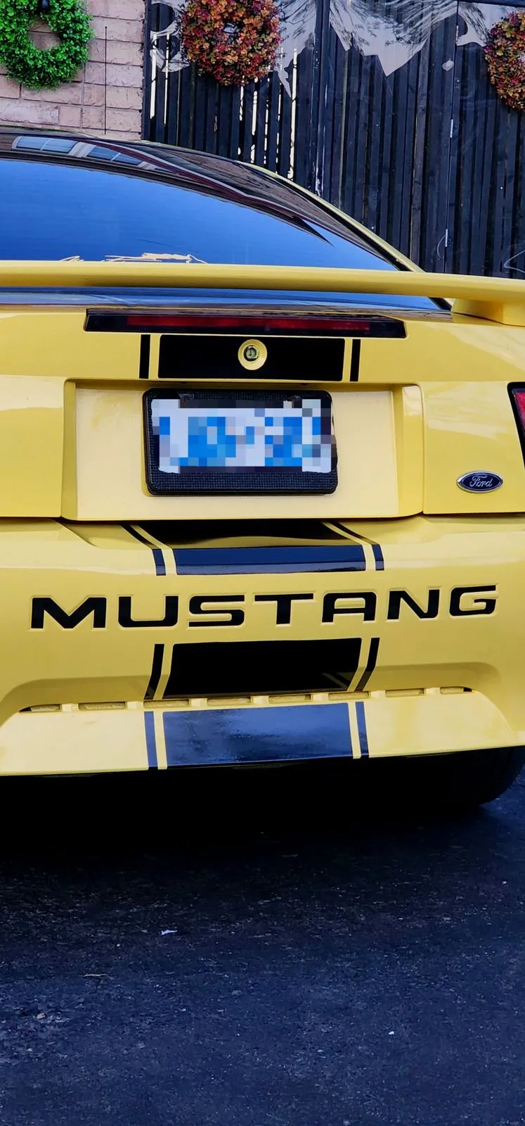 Mustang lettering on a rear window