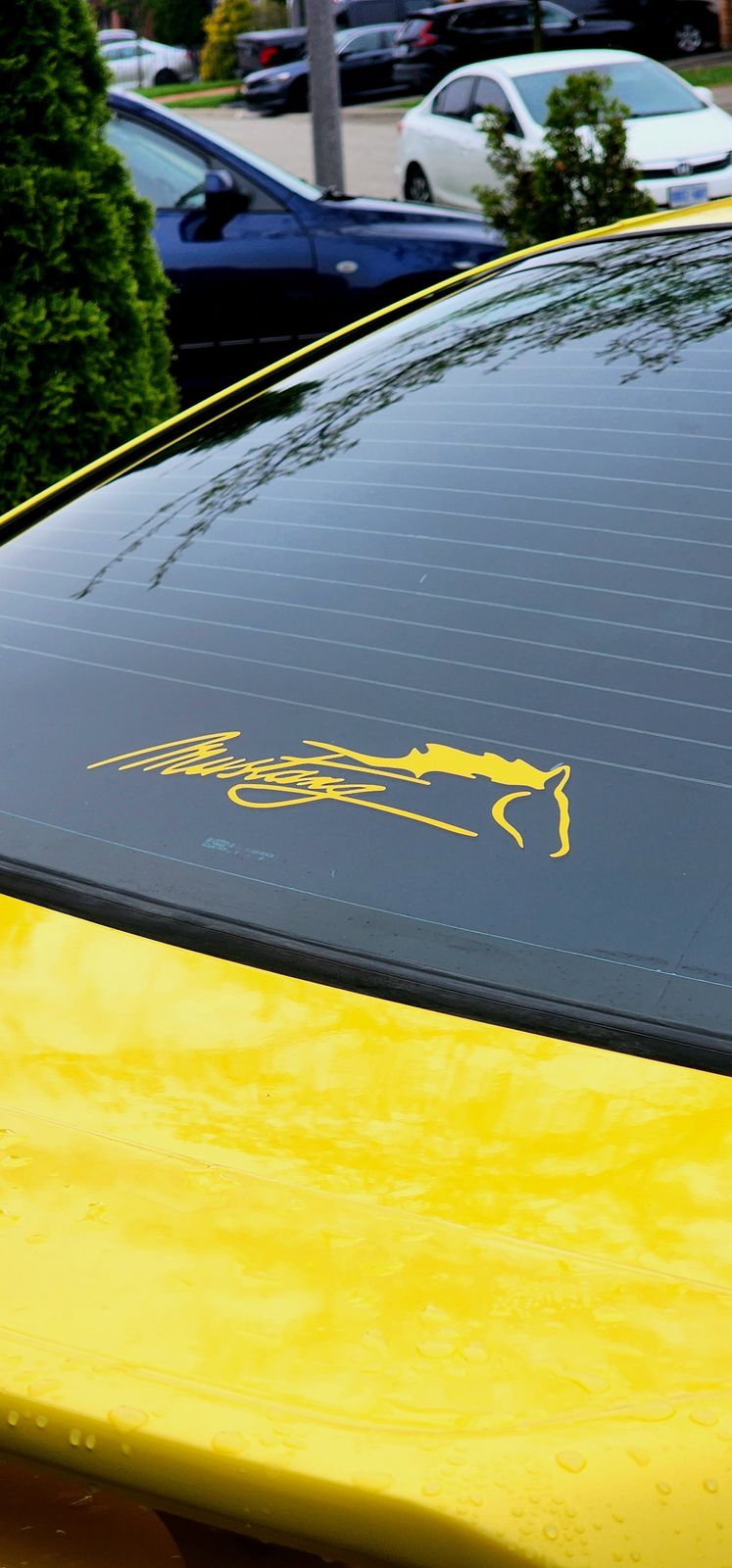 Gold running horse decal on the rear window of a yellow Mustang